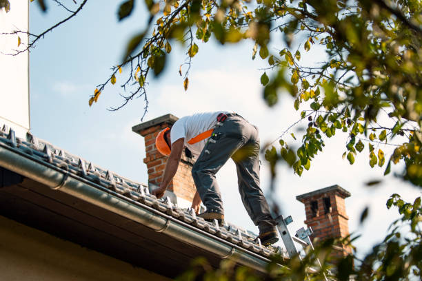 Best Roof Maintenance Services  in Caledonia, MS
